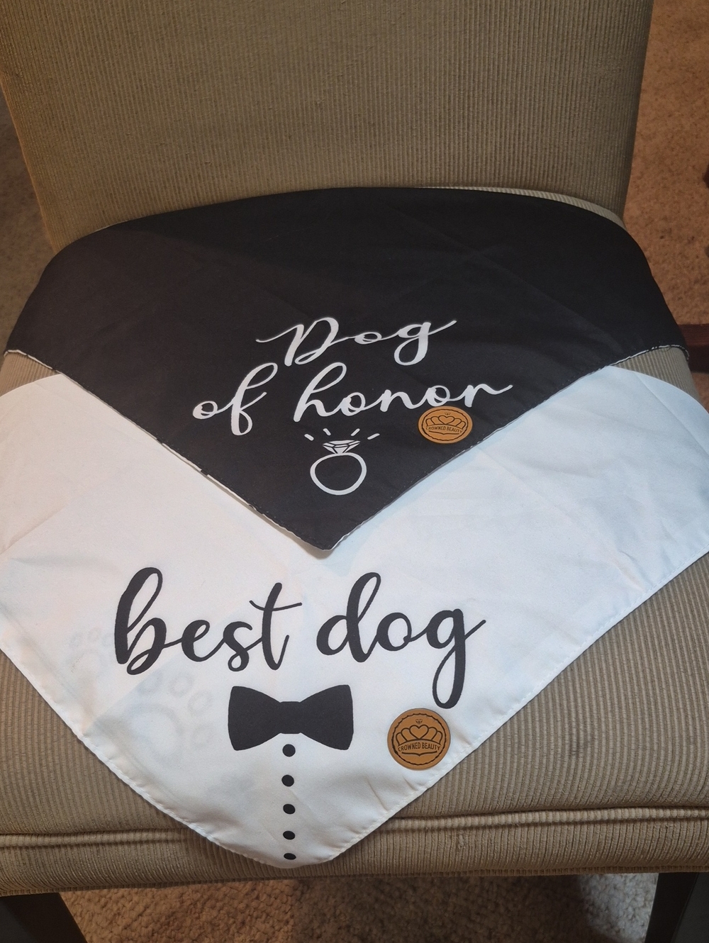 Dog of Honor & Best Dog Reversible Pet Bandana Set - Black and White